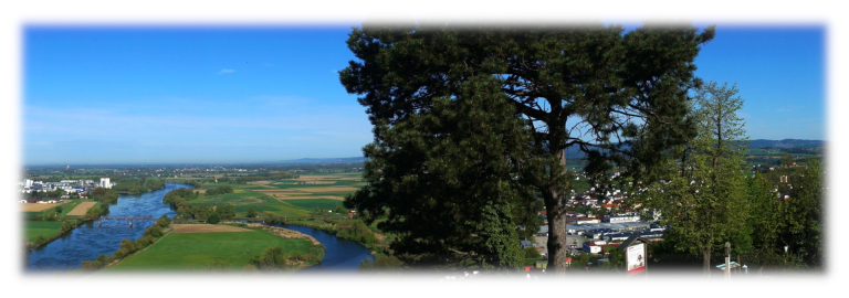 Zwischen Donau und Wald