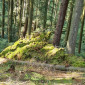 Rammelsbach 2021